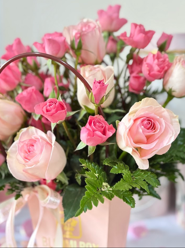 GARDEN ROSE