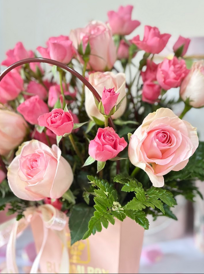 GARDEN ROSE