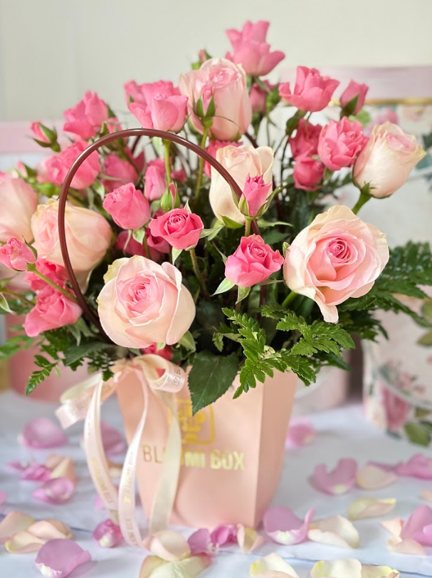 GARDEN ROSE