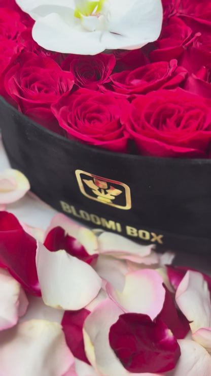 HEART BOX